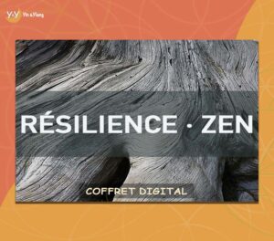 Résilience-Zen Yin & Ylang