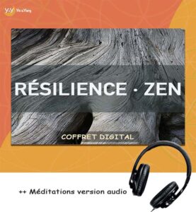 Résilience Méditations Audio - Yin & Ylang